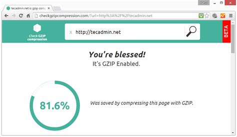 web server compression test|check gzip compression online.